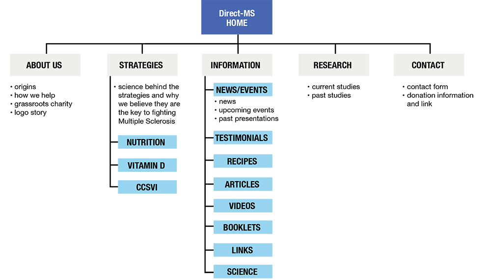 Direct-MS logo and brand colors